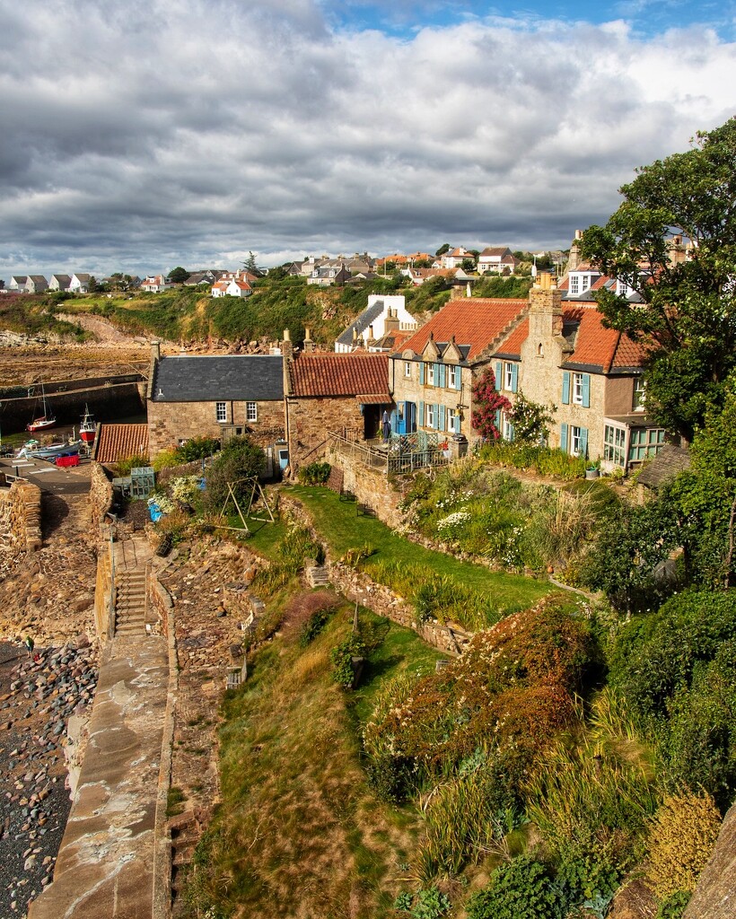 Looking down to Crail harbour…… by billdavidson