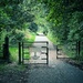 Tree tunnel by anncooke76