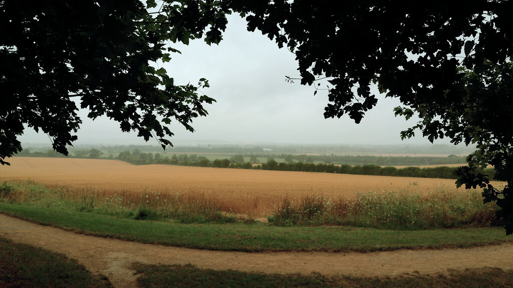 Pouring with rain in the distance. by neil_ge