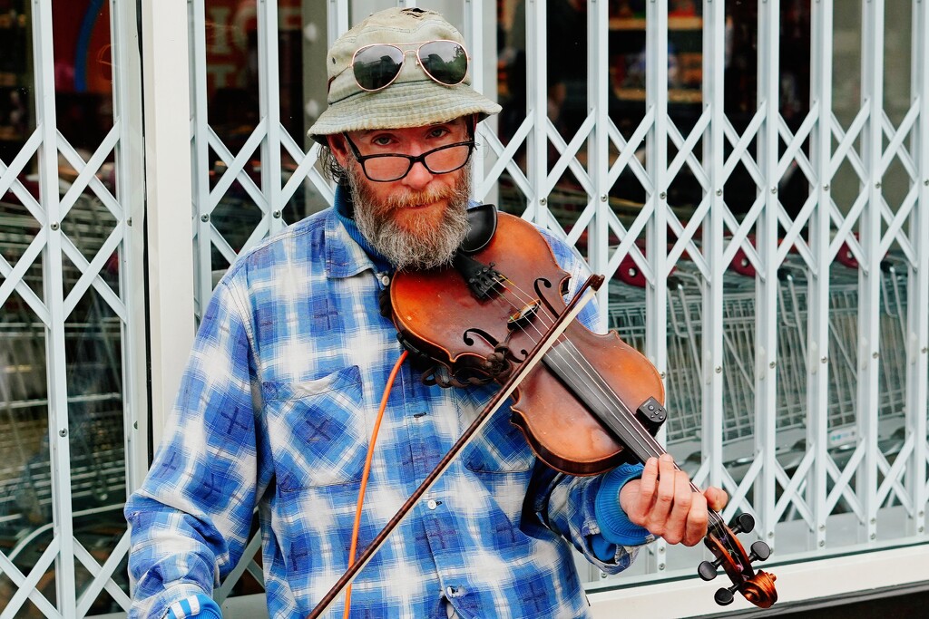 221/366 - Busker by isaacsnek