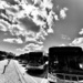 Buses and Backlighting by rickaubin