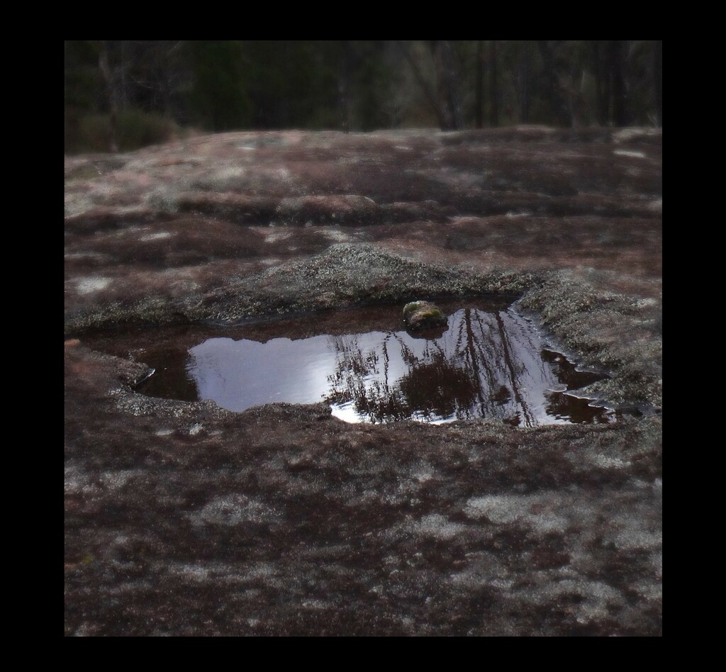 Granite, lichen, water pools, trees and reflections... by robz