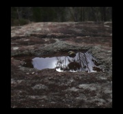 10th Aug 2024 - Granite, lichen, water pools, trees and reflections...