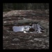 Granite, lichen, water pools, trees and reflections... by robz