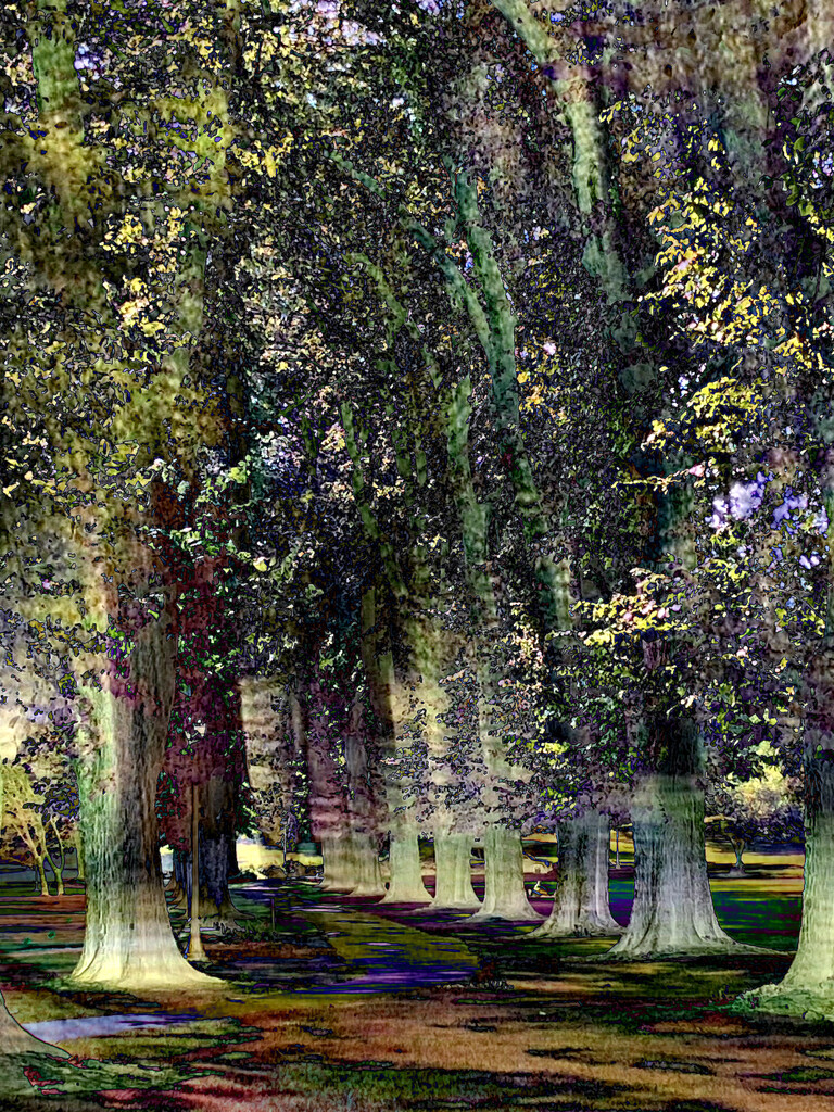 Trees with different edit by joysabin