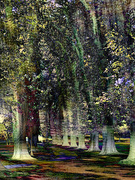 8th Aug 2024 - Trees with different edit