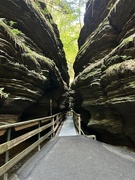 7th Aug 2024 - Witches Gulch