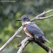 Sitting in the rain by mccarth1