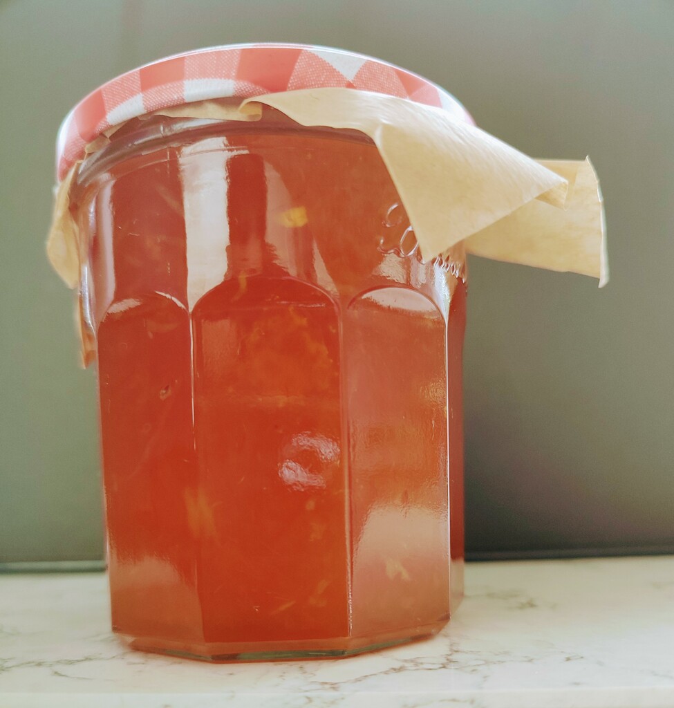 Man Made Marmalade  by countrylassie