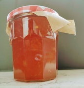 8th Aug 2024 - Man Made Marmalade 