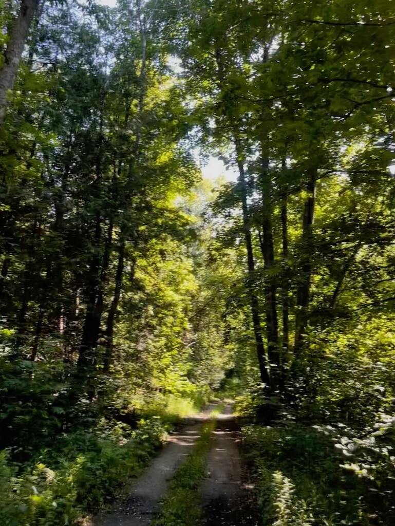 Another Trail by sunnygreenwood