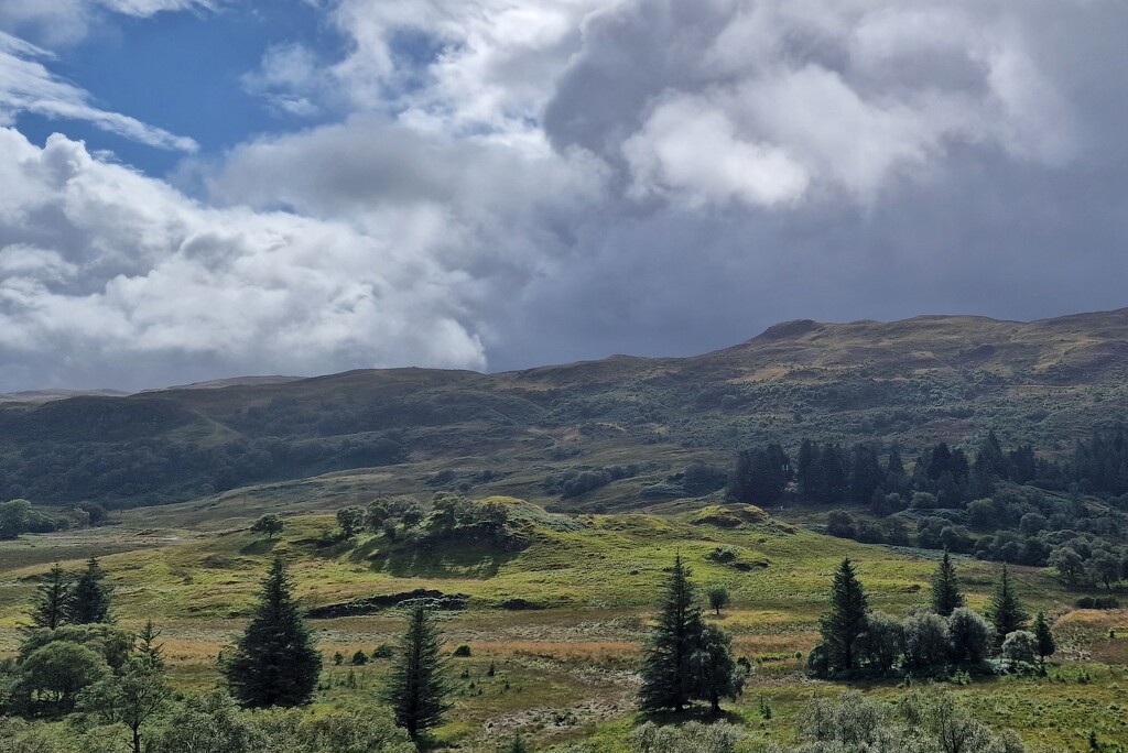 between the showers by christophercox