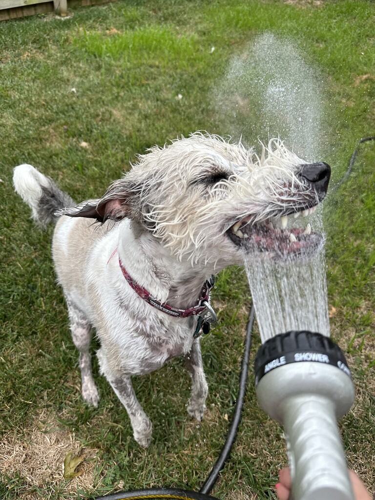 Water play by cmuir1963