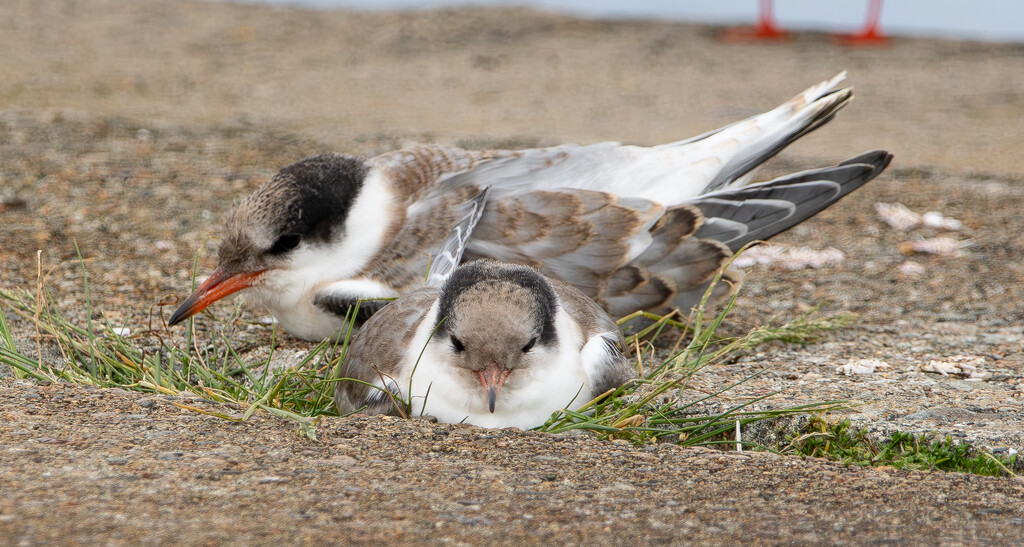 Group Huddle by lifeat60degrees