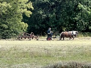 9th Aug 2024 - Traditional way of cutting grass