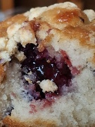 9th Aug 2024 - Day 222/366. Blueberry muffin. 