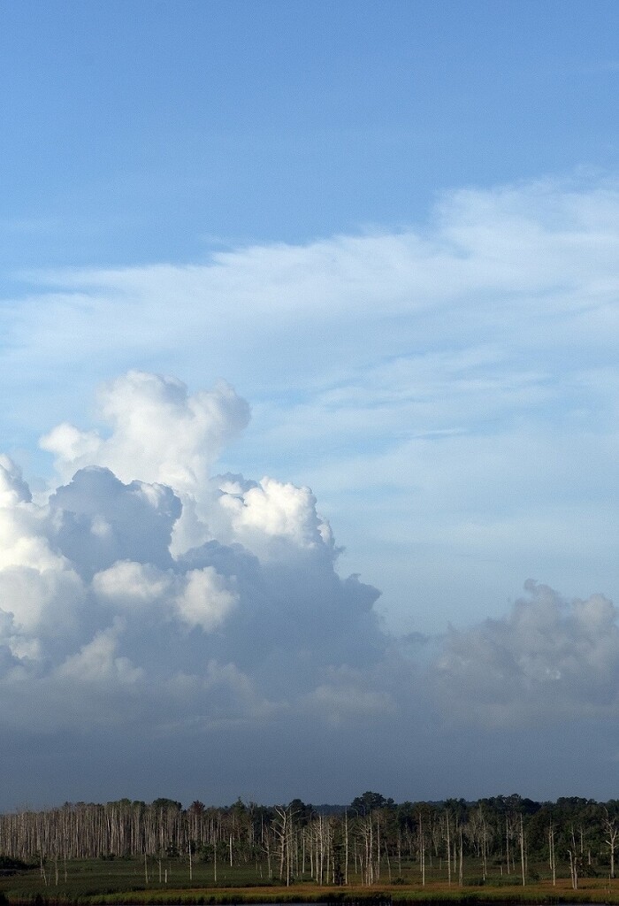 Cape Fear Land and Cloud by granagringa