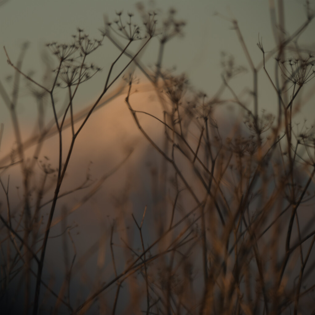 Soft focus mountain by dkbarnett