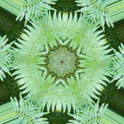 10th Aug 2024 - Abstract 10 - Kaleidoscope