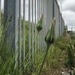 Railings and weeds  by sleepingexplorer