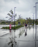 10th Aug 2024 - A very wet day