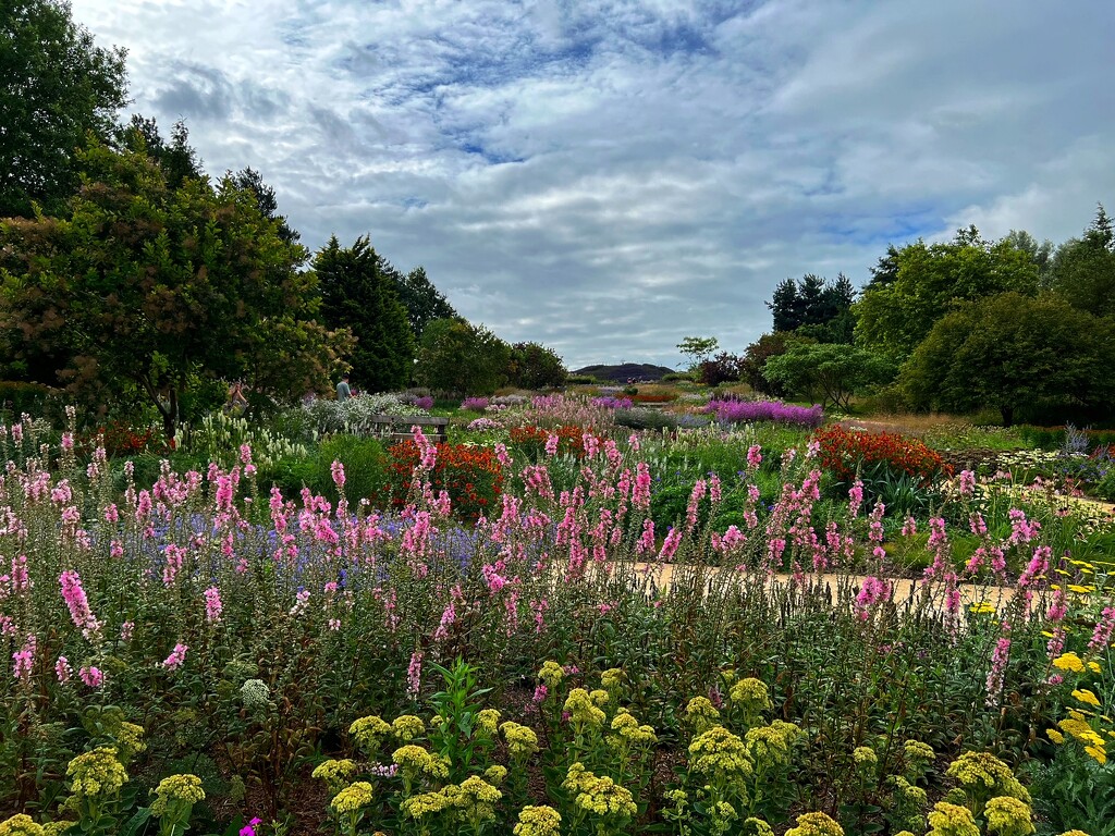 RHS Wisley by mattjcuk