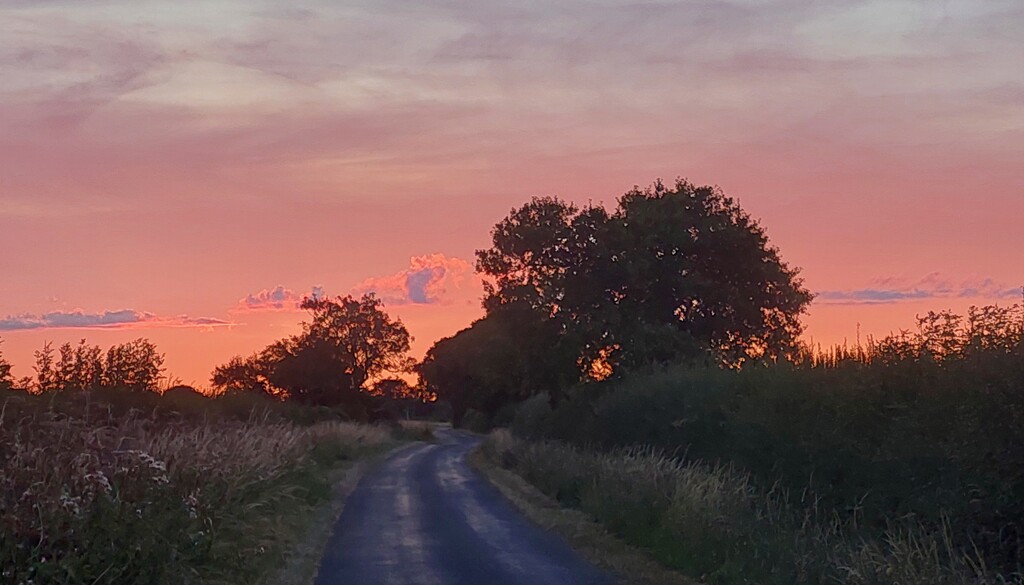 Tonight's sunset  by busylady