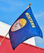 9th Aug 2024 - Montana State Flag