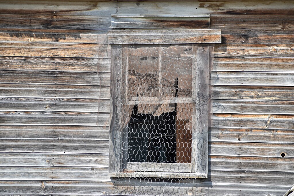 Old Chicken Coop, Perhaps? by bjywamer