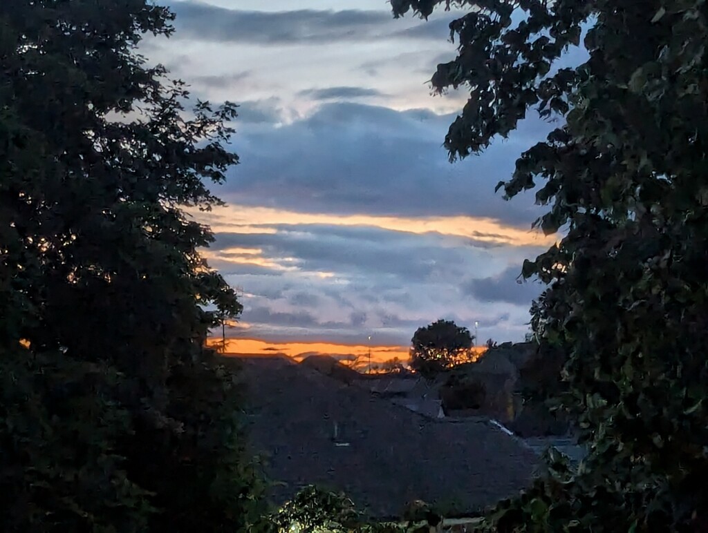 Evening light - Aberdeenshire  by sarah19