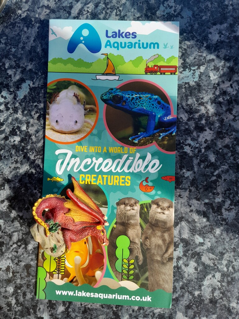 off to the dracquarium by anniesue