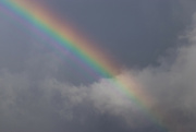 10th Aug 2024 - Rainbow