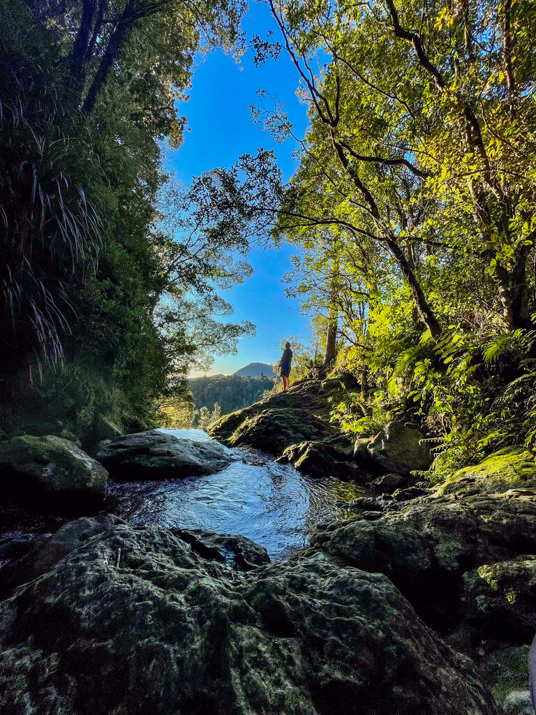 The top of the waterfall - colour by christinav