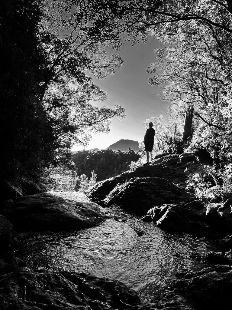 The top of the waterfall - b&w by christinav