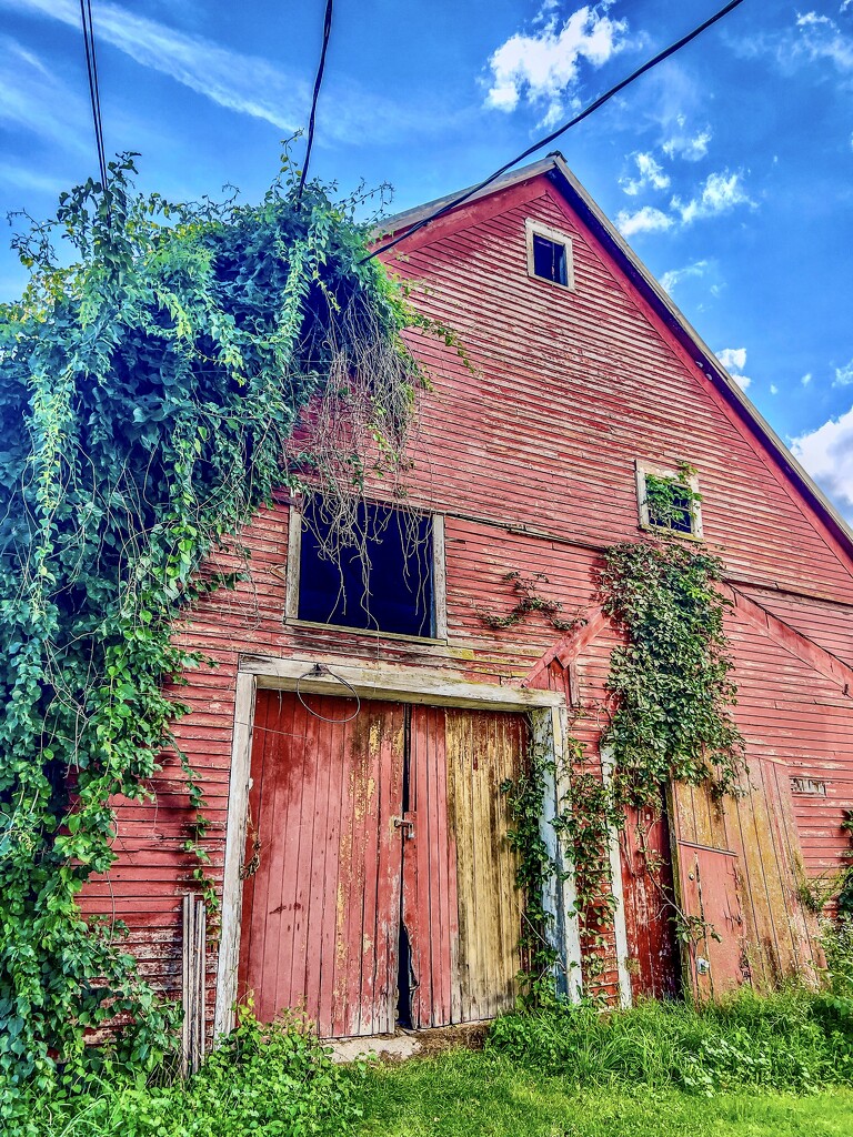 Old Barn in Pittsford by corinnec