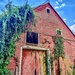 Old Barn in Pittsford by corinnec