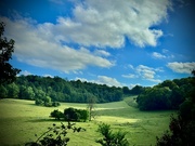 10th Aug 2024 - Reigate Sanctuary