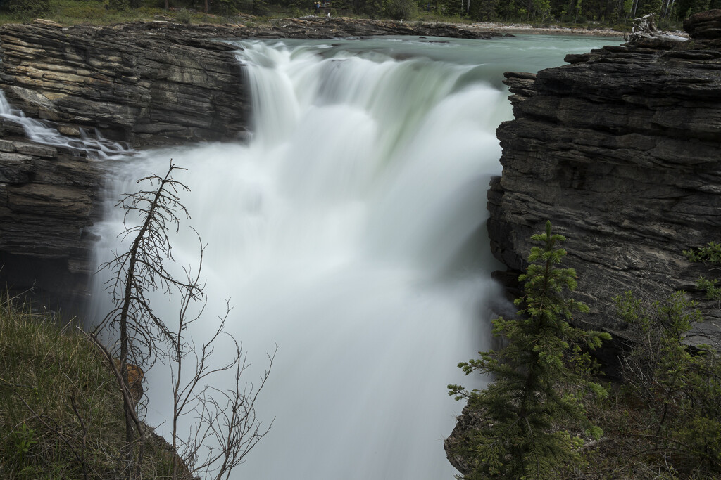 Athabasca Falls by swchappell