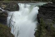 19th Jun 2024 - Athabasca Falls