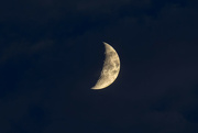 10th Aug 2024 - Moon Shot