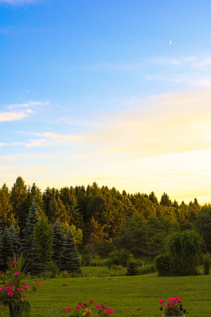 Backyard Skies by maggierileyphoto