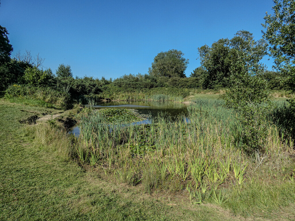 Ulceby Pond by mumswaby