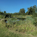 Ulceby Pond by mumswaby