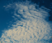 12th Aug 2024 - Popcorn Clouds ~ 