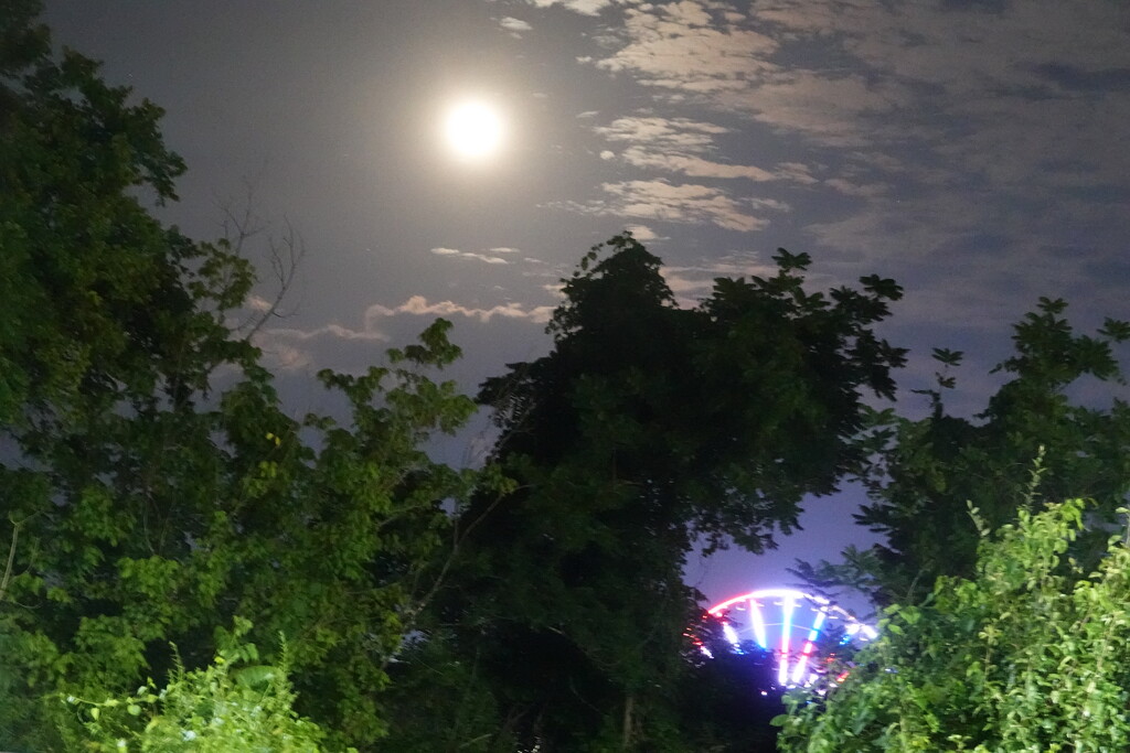 Full moon with ferris wheel by paulabriggs