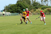 11th Aug 2024 - Hurling