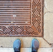 11th Aug 2024 - Fancy grate