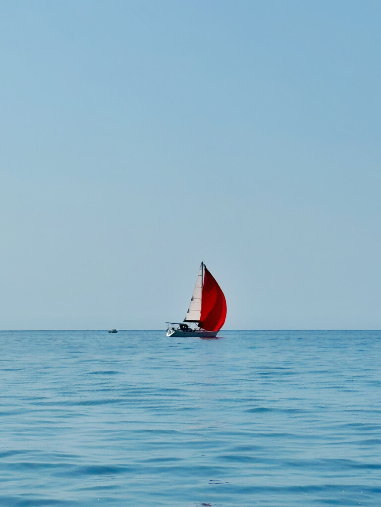 Red sails.  by cocobella