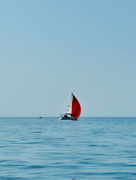 12th Aug 2024 - Red sails. 