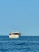 12th Aug 2024 - A boat full of fishermen. 